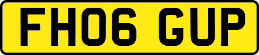 FH06GUP