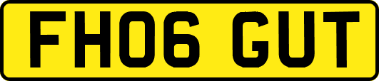 FH06GUT