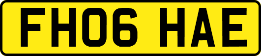 FH06HAE