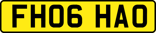 FH06HAO