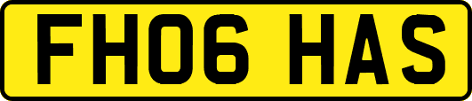 FH06HAS