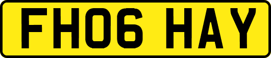 FH06HAY