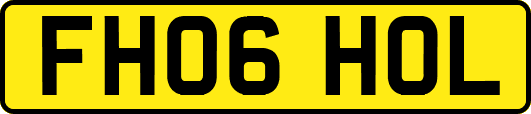 FH06HOL