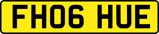 FH06HUE