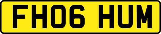 FH06HUM