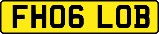 FH06LOB