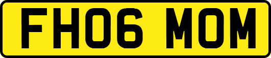 FH06MOM