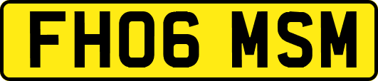 FH06MSM