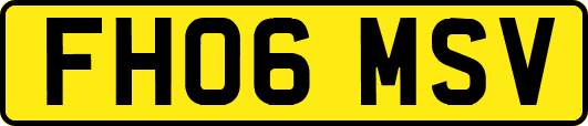 FH06MSV