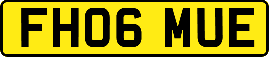 FH06MUE