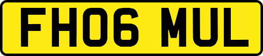FH06MUL