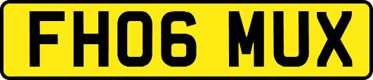 FH06MUX