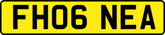 FH06NEA