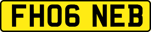 FH06NEB