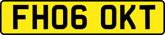 FH06OKT