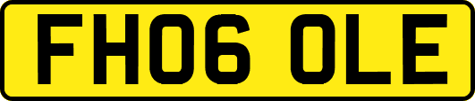 FH06OLE