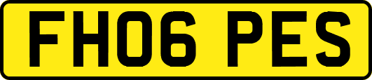 FH06PES