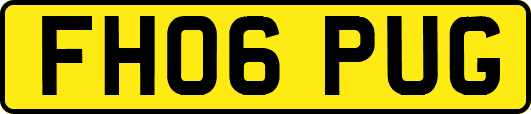 FH06PUG