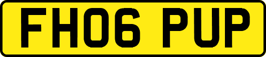 FH06PUP