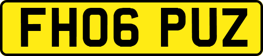 FH06PUZ