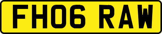 FH06RAW