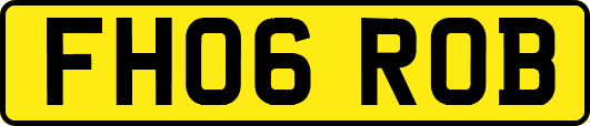 FH06ROB