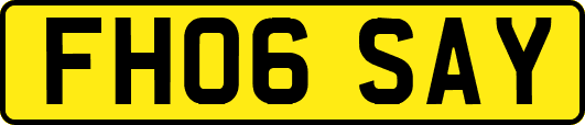 FH06SAY