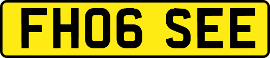 FH06SEE