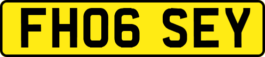 FH06SEY