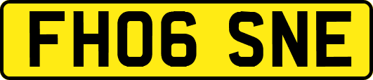 FH06SNE