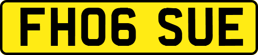FH06SUE