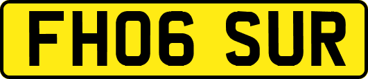 FH06SUR