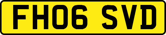 FH06SVD