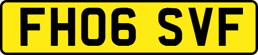 FH06SVF