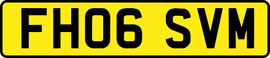 FH06SVM