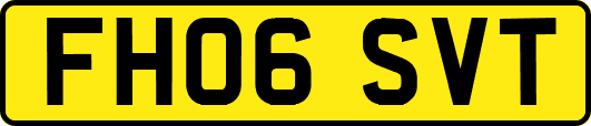 FH06SVT