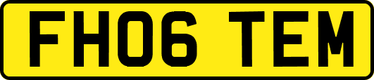 FH06TEM