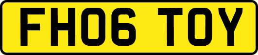 FH06TOY