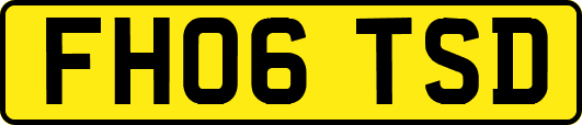 FH06TSD