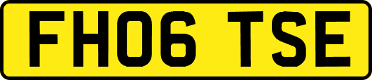 FH06TSE