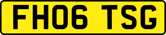 FH06TSG