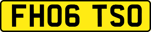 FH06TSO