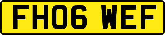 FH06WEF