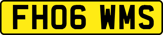 FH06WMS