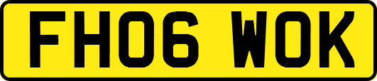 FH06WOK