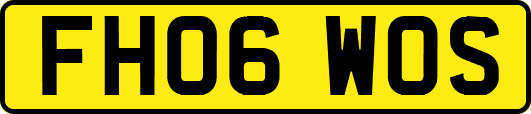 FH06WOS