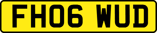 FH06WUD