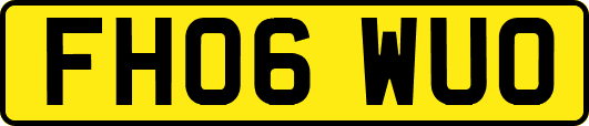 FH06WUO