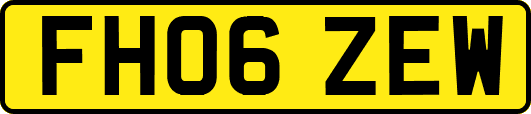 FH06ZEW