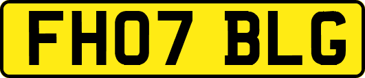 FH07BLG